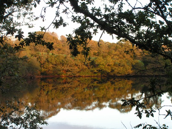 Etang du Moros