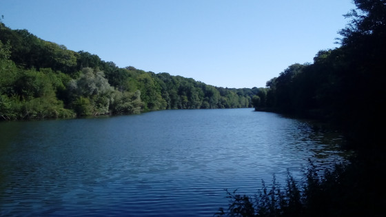Étang du Moulin au Renard Étang du Moulin au Renard