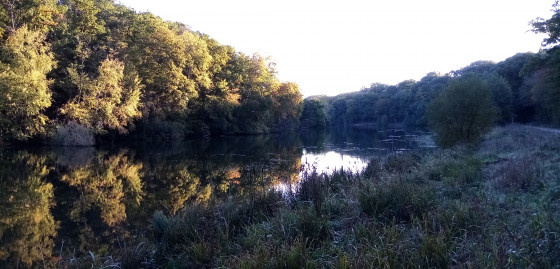 Étang du Moulin au Renard