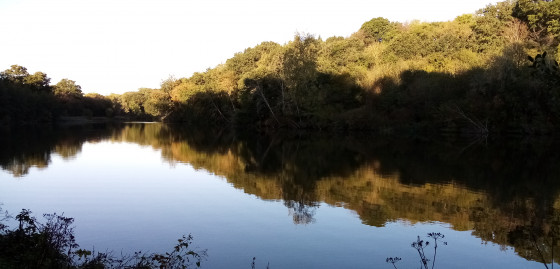 Étang du Moulin au Renard Étang du Moulin au Renard