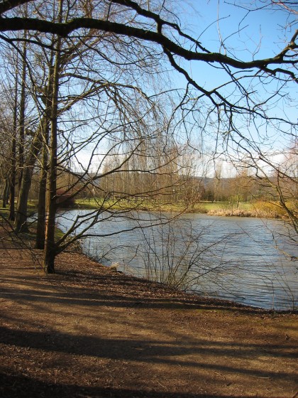 Etang du parc de l'Embanie