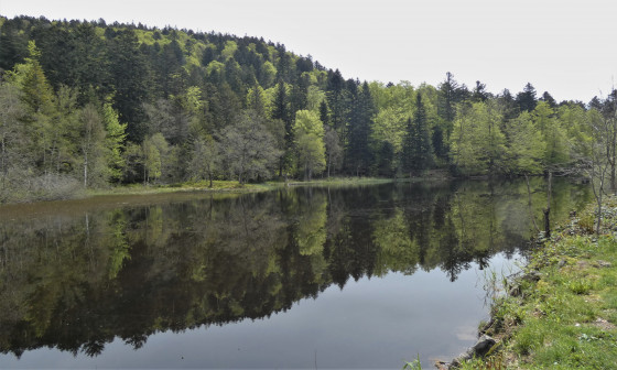 étang du petit haut