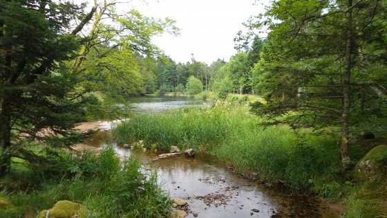 Etang du Petit Haut