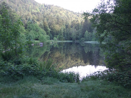 Etang du Petit-Haut