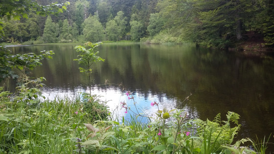 Etang du Petit Haut
