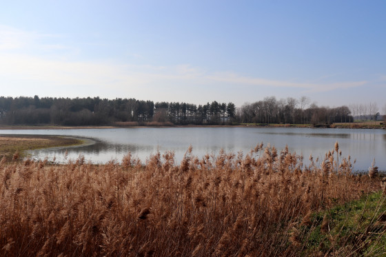 Etang du Plessis en hiver
