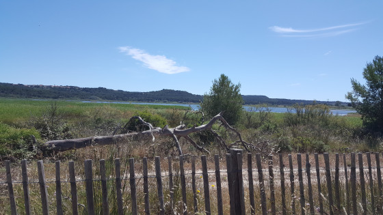 Etang du Pourra