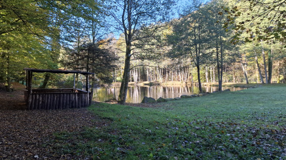 Etang du Rain de la Vierge