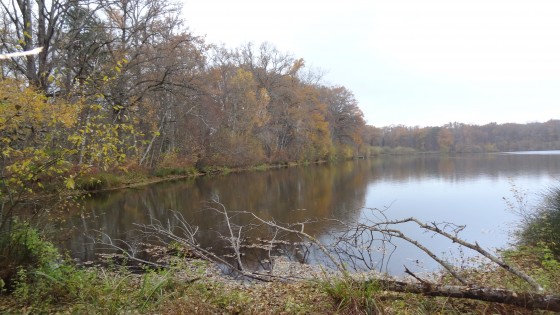 Etang du Temple
