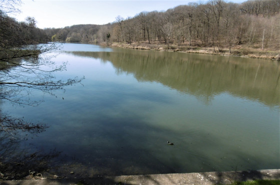 Etang du Val d'or.