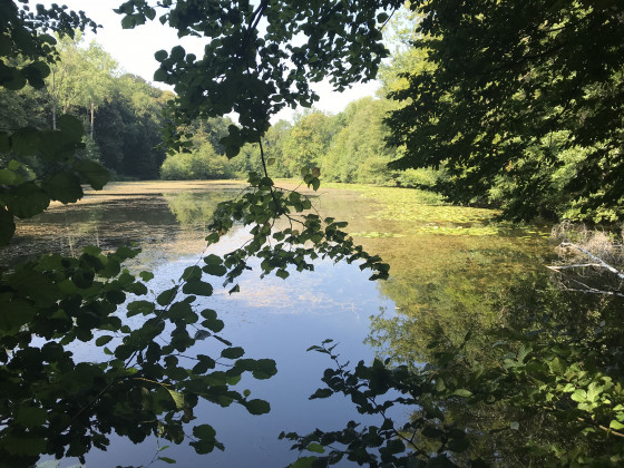 Etang du Vallin