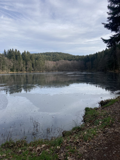 Etang du Villerain.