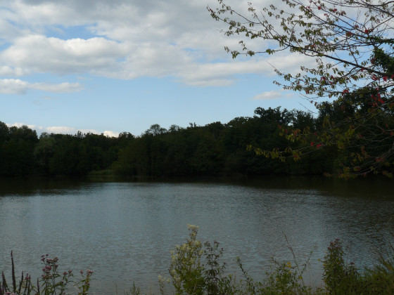 Etang du Vivier du Grès