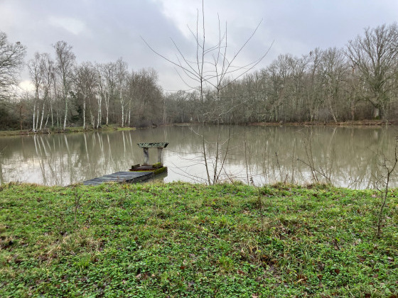 Etang