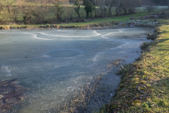 Etang gelé sous la Vie