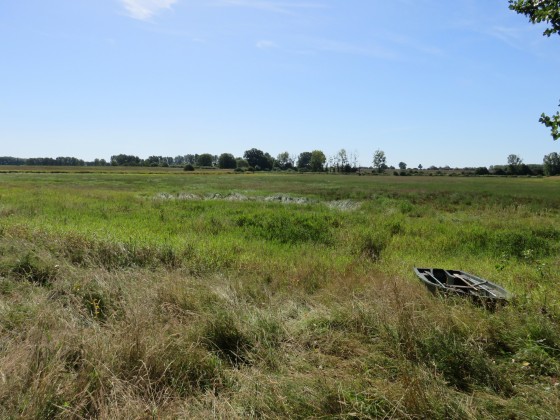 Étang Joulin (à sec, en été)