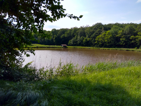 Etang La Maman