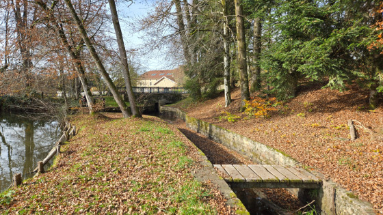 Etang Lallemand
