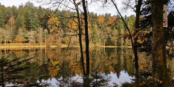 Etang le Villerain