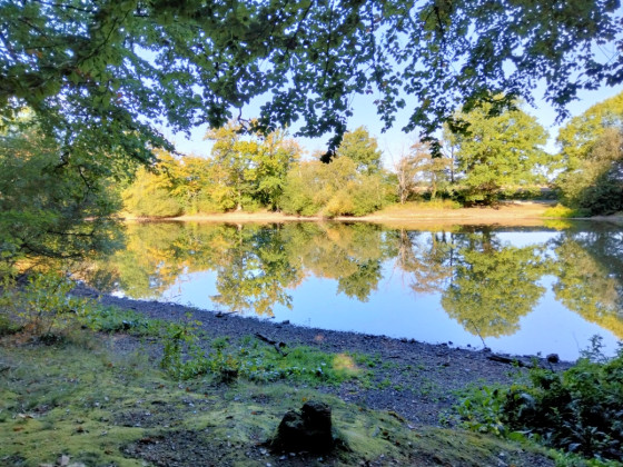 Etang Loiseau