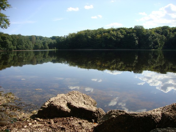 Etang neuf