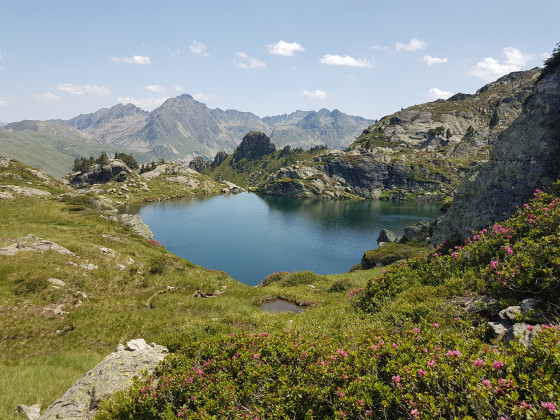 Etang Noir de Cabaillère