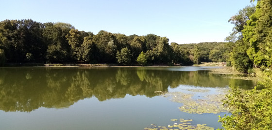 Étang oriental de Ville d\'Avray Étang oriental de Ville d\'Avray