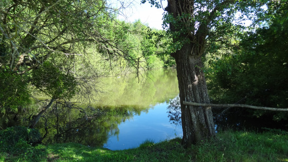 Étang près du Loir