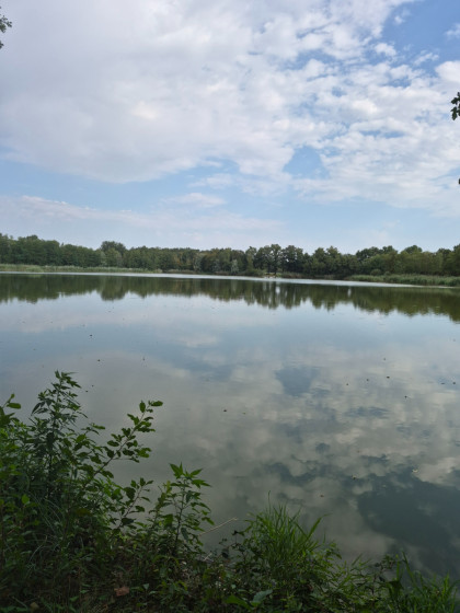 Etang Rebouton