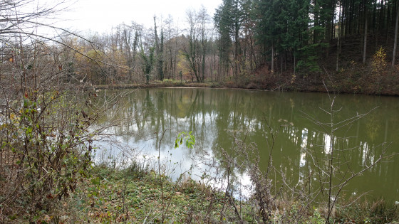 Etang Rue de Schwyr