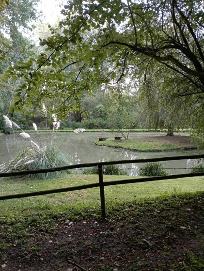 Etang Santeuil le Perchay