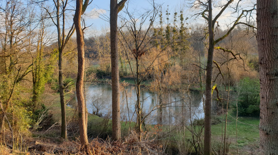 Etang sur la Mérantaise Etang sur la Mérantaise