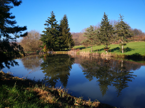 étang sur le ruisseau du Bois Plantier