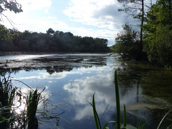 Etang