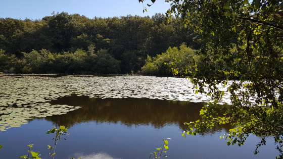 Etang