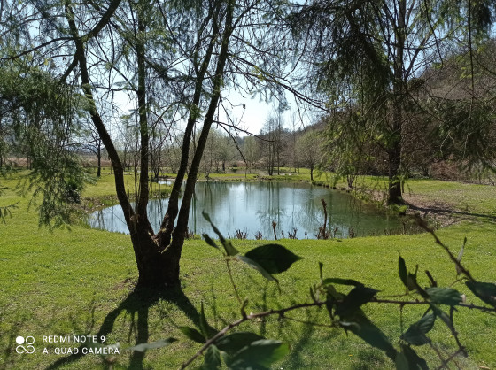 Etang