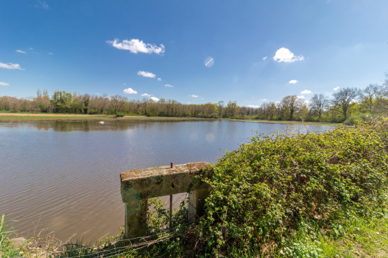 Etang