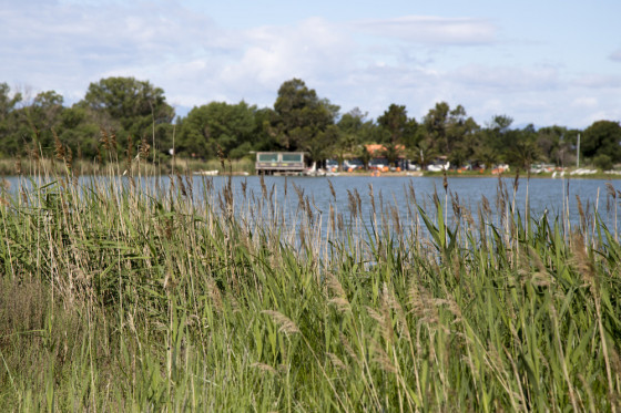 Etang