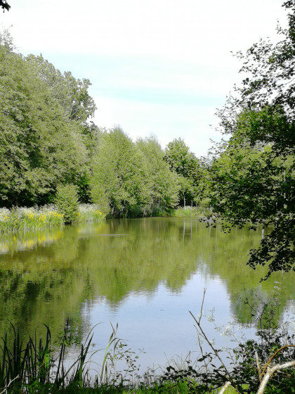 Etang