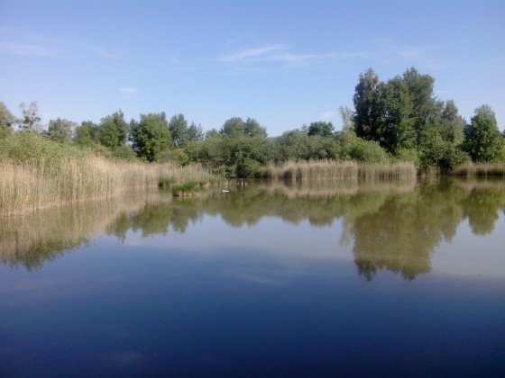 Etang