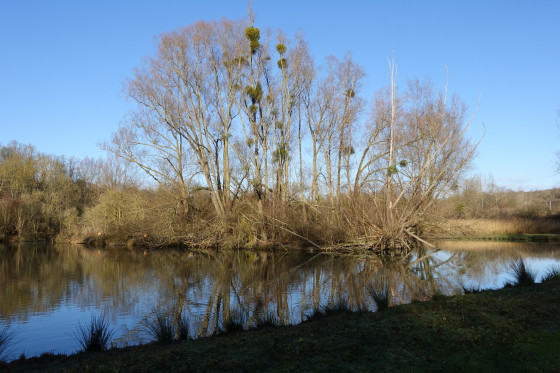 Etang