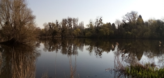 Étang