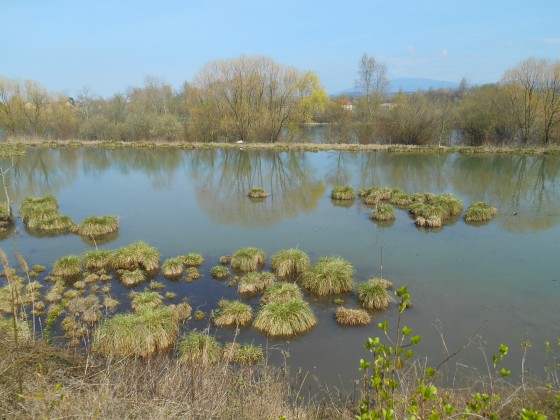 Etang
