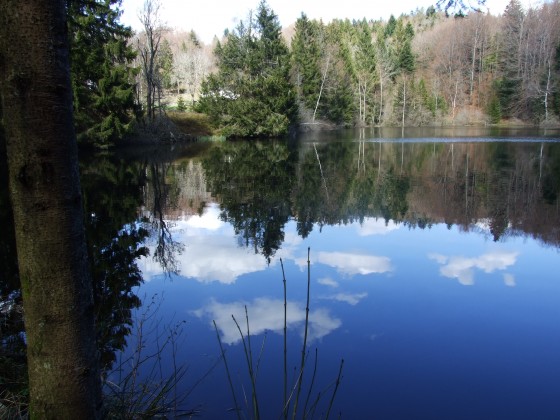 Etang