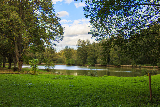 Etang