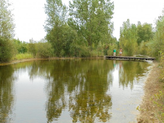 Etang