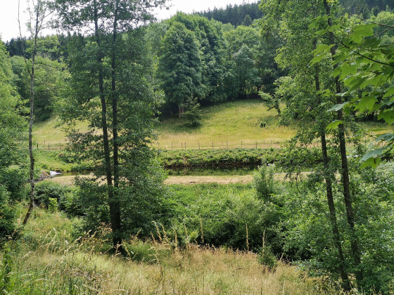 Etang