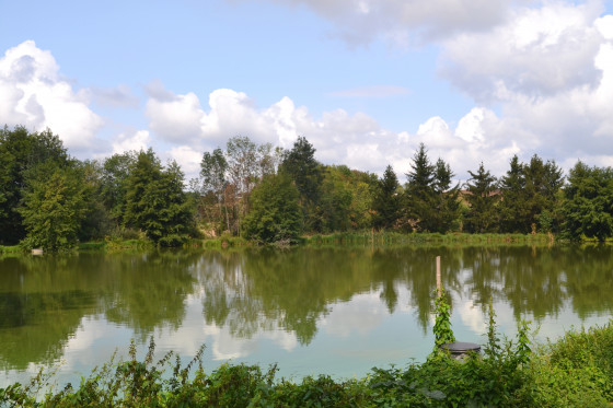 Etang