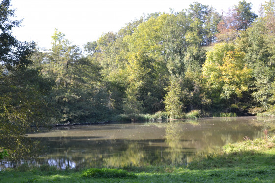 &Eacute;tang