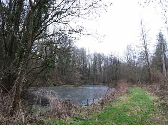 Etang